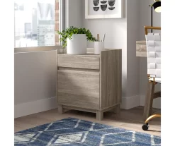 Margo Gray 2-Drawer Filing Cabinet -Deco Haven Shop 810386285 A8 11