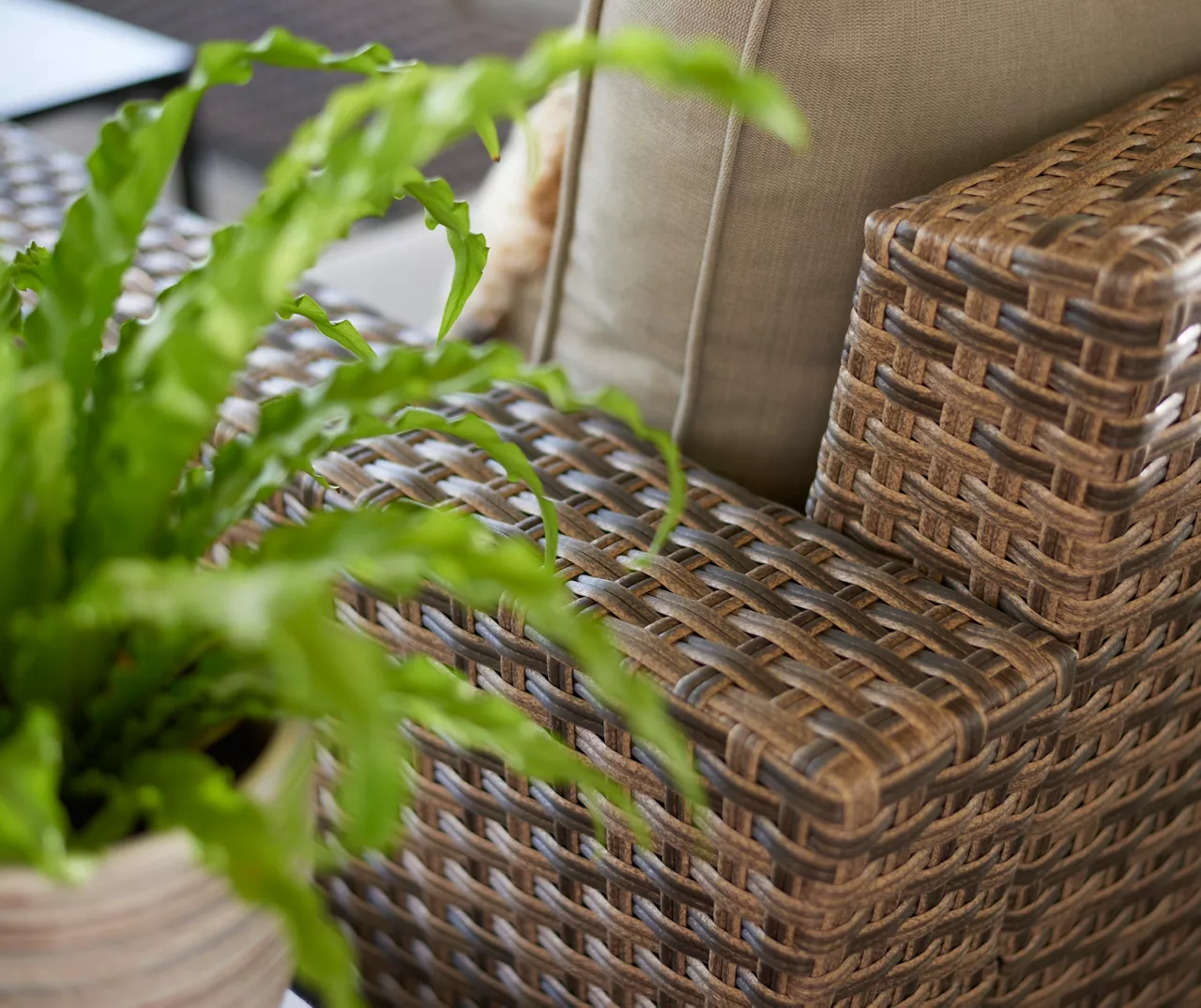 Broyhill Eagle Brooke All-Weather Wicker Cushioned Patio Loveseat 8 Broyhill Eagle Brooke All-Weather Wicker Cushioned Patio Loveseat - Image 8