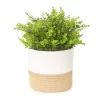 14" Artificial Greenery In White & Tan Cotton Rope Pot