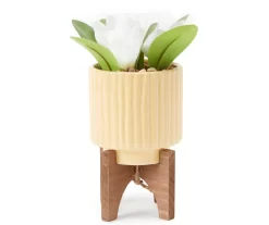 White Floral Arrangement In Yellow Ridged Ceramic Pot With Stand