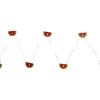 Northlight Watermelon LED Fairy Light Set, 10-Lights