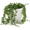 Artificial String Of Pearls Plant In White Herringbone Footed Pot