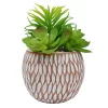 Artificial Succulent In Carved Cement Pot