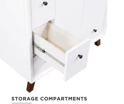 DHP Atwater Living Delias Bathroom Vanity With White Sink -Deco Haven Shop 810610514 A0