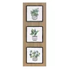 Plant Mix Trio Print Wall Decor