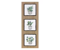 Plant Mix Trio Print Wall Decor